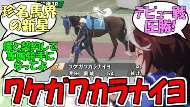 『ワケガワカラナイヨが新馬戦勝利』に対するみんなの反応【ウマ娘プリティーダービー】