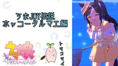 【ウマ娘育成ストーリー:ホッコータルマエ編】うまJOY伝説