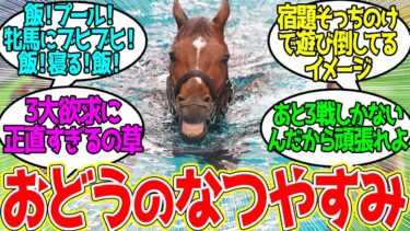 ドウデュース ← なつをたのしむぞ！に対するみんなの反応！【競馬 の反応集】