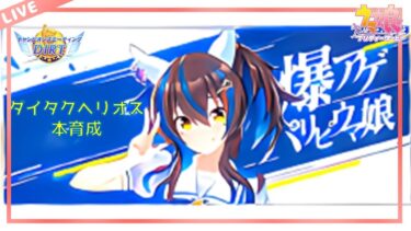 【ウマ娘】ダートチャンミ　本育成　ダイタクヘリオス　【低所得サラリーマンふくめんのゲーム実況チャンネル】