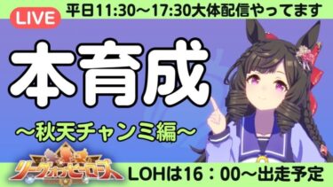 【ウマ娘】今日もLOH走ってこ～目指せ掲示板！最後まで走って、最終日に一瞬のキラメキを残そう！/ルムマ気軽にご参加ください！【#ウマ娘プリティーダービー #ライブ配信 #ゲーム実況 】