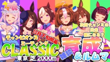 【ウマ娘】推し3編成で挑むチャンミCLASSIC🐎育成＆ルムマ🐎さぁ育成いくですよ！ 次回は誰をだそうかねぇ～【2024 10月チャンピオンズミーティング】