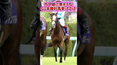 ウマ娘に来そうなG1未勝利馬挙げてけ【競馬反応集】 #ウマ娘