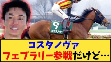 【競馬】「コスタノヴァ  フェブラリー参戦だけど鞍上未定…」に対する反応【反応集】