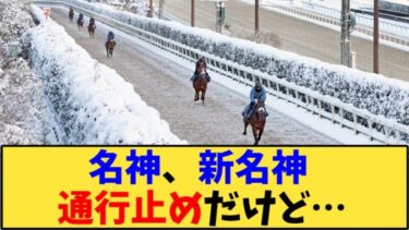 【競馬】「名神、新名神 通行止めだけど…」に対する反応【反応集】