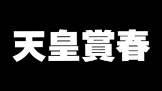 【競馬】俺はジャスティンパレサー　天皇賞春2025