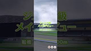 ウマ娘 フリオーソ限定 船橋競馬場 一般ファンファーレ #船橋競馬 #フリオーソ #ウマ娘 #shorts